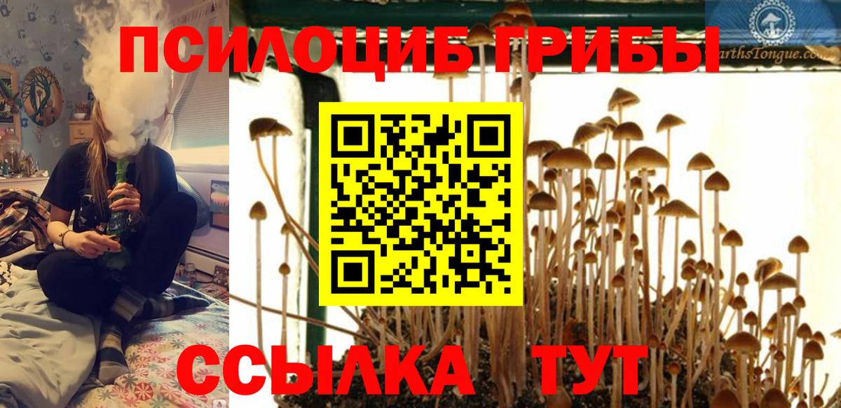 Галлюциногенные грибы ЛСД  Вход с VPN  Новокубанск 